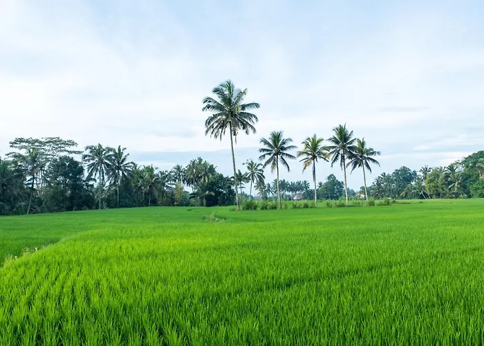 Uma Dewa * Tampaksiring