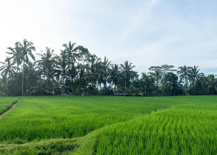 Uma Dewa Villa *